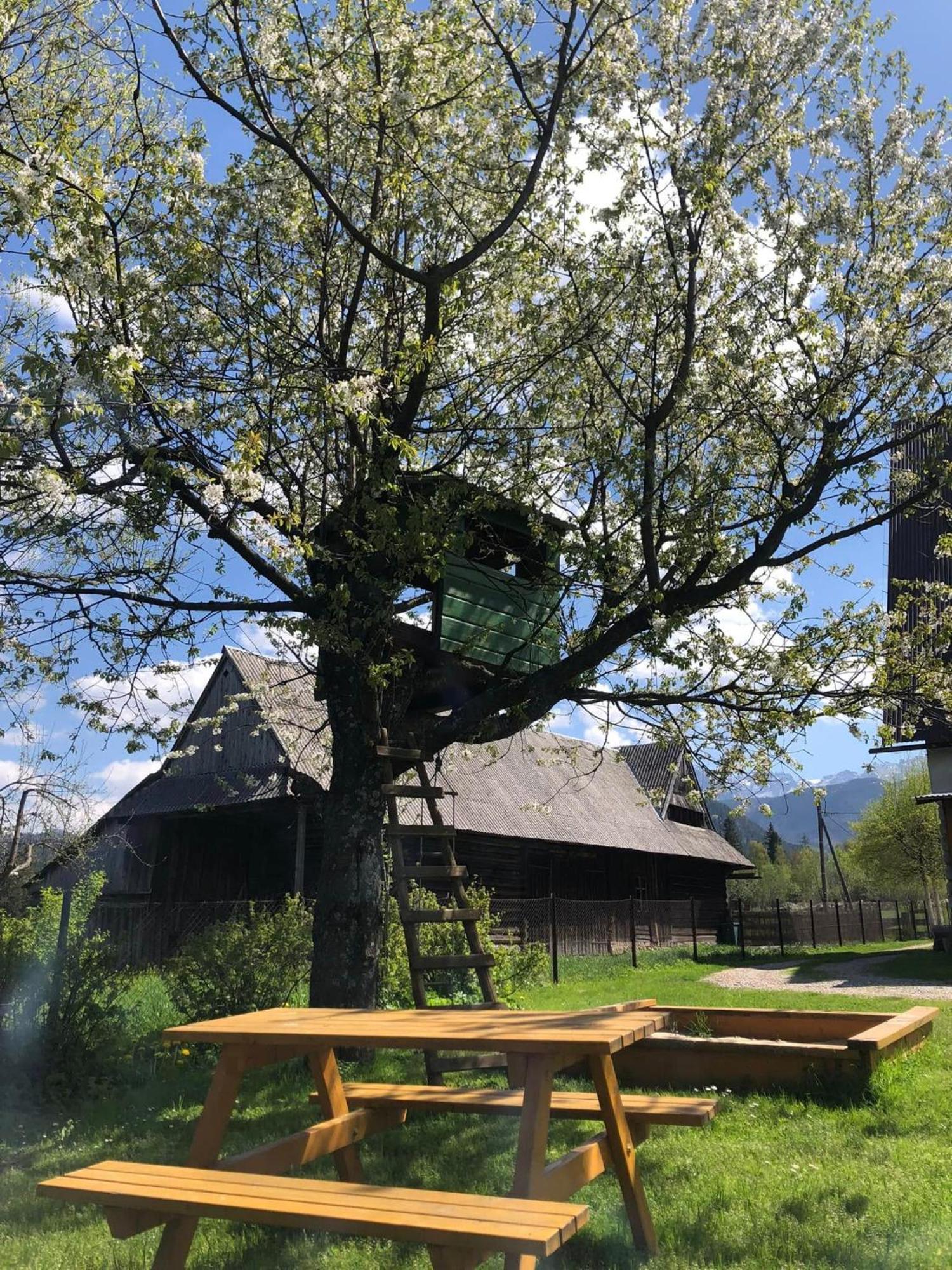 Pensjonat U Doroty, Zakopane - Twoje Miejsce W Gorach Eksteriør billede